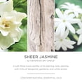 thumbnail image 3 of Chesapeake Bay Candle Scented Candle, Sheer Jasmine, Medium Jar with Natural Essential Oils, Minimalist Collection, 3 of 6