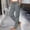 Gray, variant on Women Quick Dry Cargo Pants Sevevn Elastic Drawstring Waist Straight Leg Outdoor Trousers With Multi Cargo Pockets, Rich Solid Color Selections For Hiking Travel Activities