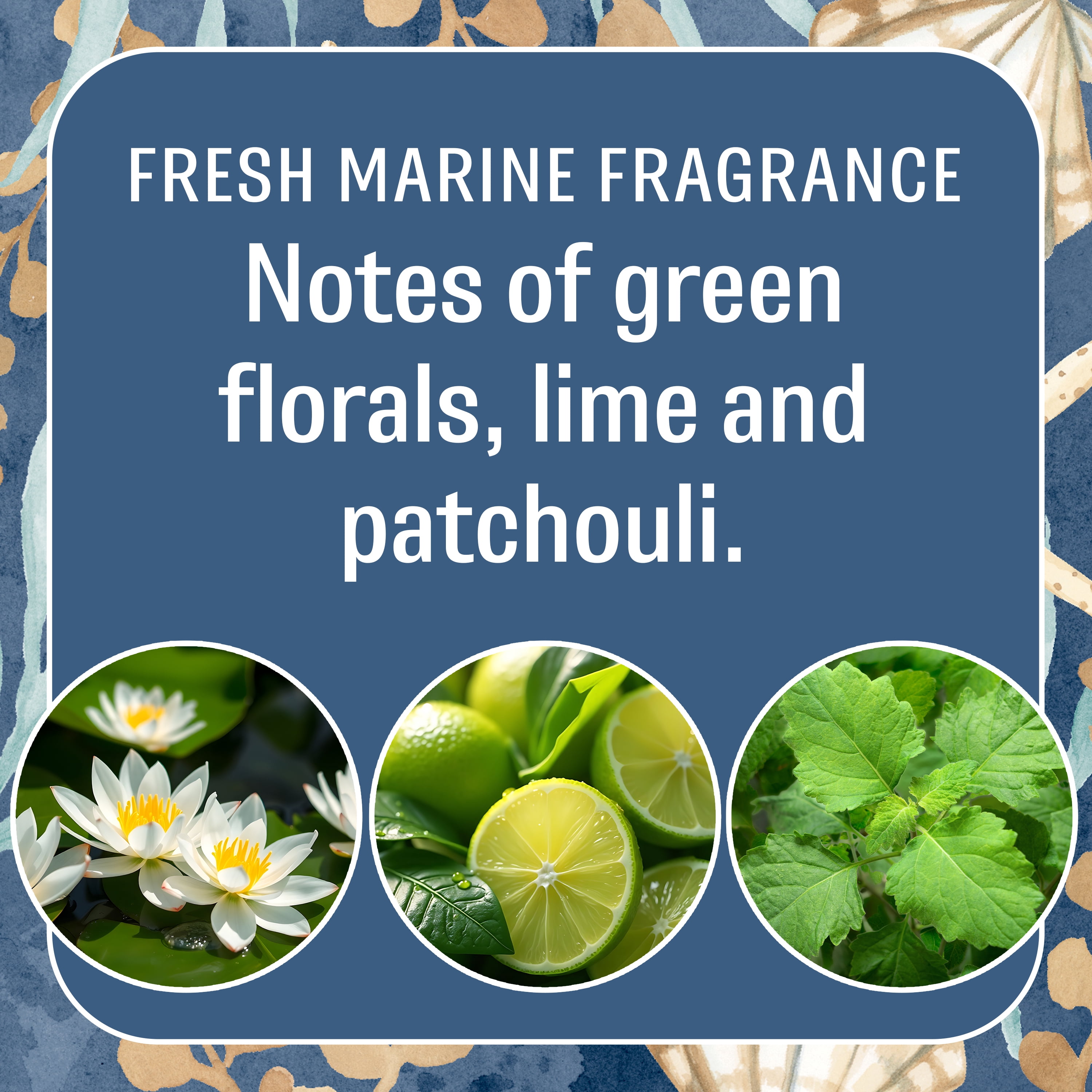 (2 pack) Seas the Day - Fresh Scents 2 Pack scented sachet - Small Places Collection