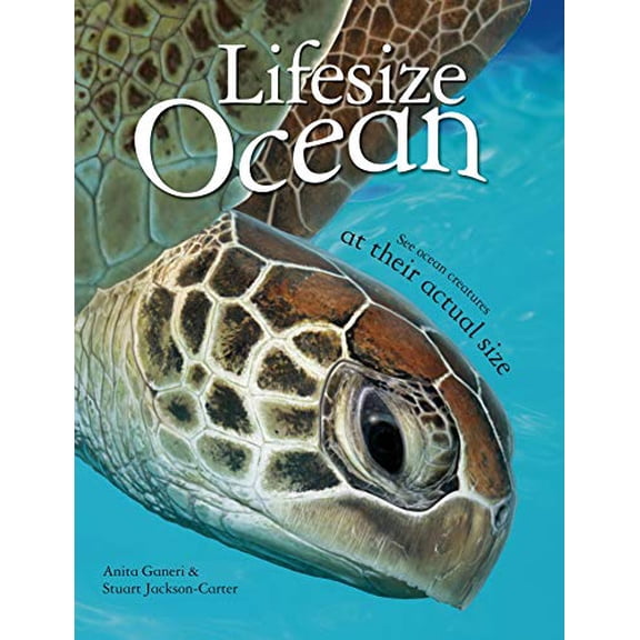Pre-Owned Lifesize: Ocean: See Ocean Creatures at Their Actual Size (Paperback) 0753470977 9780753470978