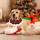 thumbnail image 5 of Christmas Cats Collar Scarf Braideds Decoration Necklace Bow Tie Bells Pet Winter Accessories Necklace Holiday Decoration, 5 of 6