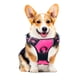 thumbnail image 1 of Pechera Arnes Color Rosa para Perro Talla Mediana - Pechera Ajustable Antitirones Resistente para Paseo Entrenamiento, 1 of 4