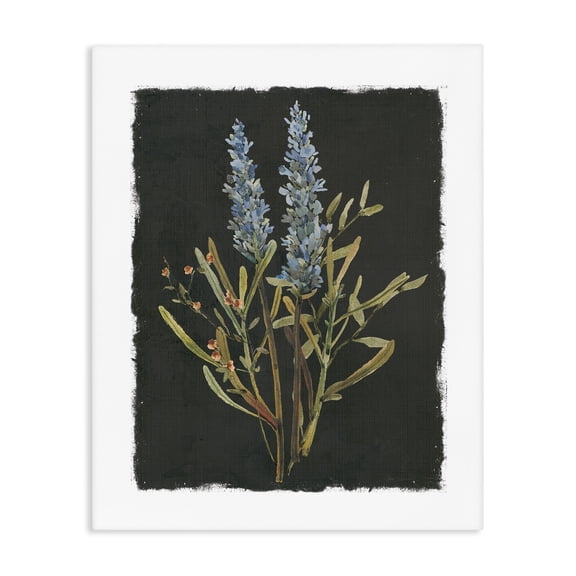 Stupell Industries Lavender Sprigs on Dark Background Canvas Wall Art, design by Carol Robinson