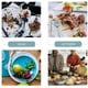 thumbnail image 2 of Platos de plástico reutilizables para uso diario, vajilla ligera, duradera e irrompible, ideal para aperitivos y meriendas, color verde (juego de 8), 2 of 8
