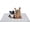 Gray, variant on Pawlabs Cooling Mat for Dogs, Double-Sided Portable Dog Cool Bed for Summer Non-Slip Washable