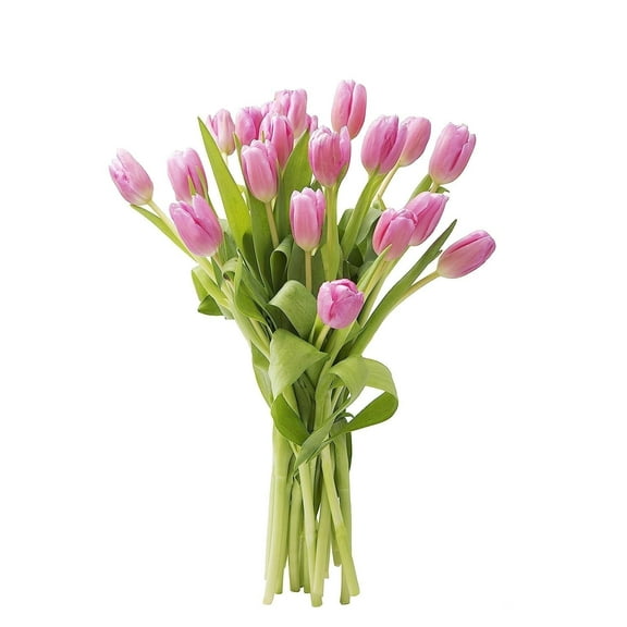 KaBloom :15 Pink Tulip, Next-Day Delivery, Gift for Every Occasion.