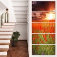 thumbnail image 1 of Wild Poppy Flowers At Cloudy Sunset - Large Flower Canvas Art Print, 1 of 3