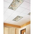 thumbnail image 2 of Fluorescent Light Covers for Ceiling Lights 3 Pack, Orange Green Eucalyptus Leaves Magnetic Ceiling Light Covers 2x4ft for Classroom Office School, Fall Botanical Rustic Drop Ceiling Light Shade, 2 of 7