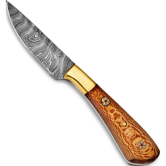 Fashion Damascus Steel 256 Layer Fixed Blade Chinar Wood/Mosaic Pin Handle Knife (7 X 1) Made In Pakistan kn6464