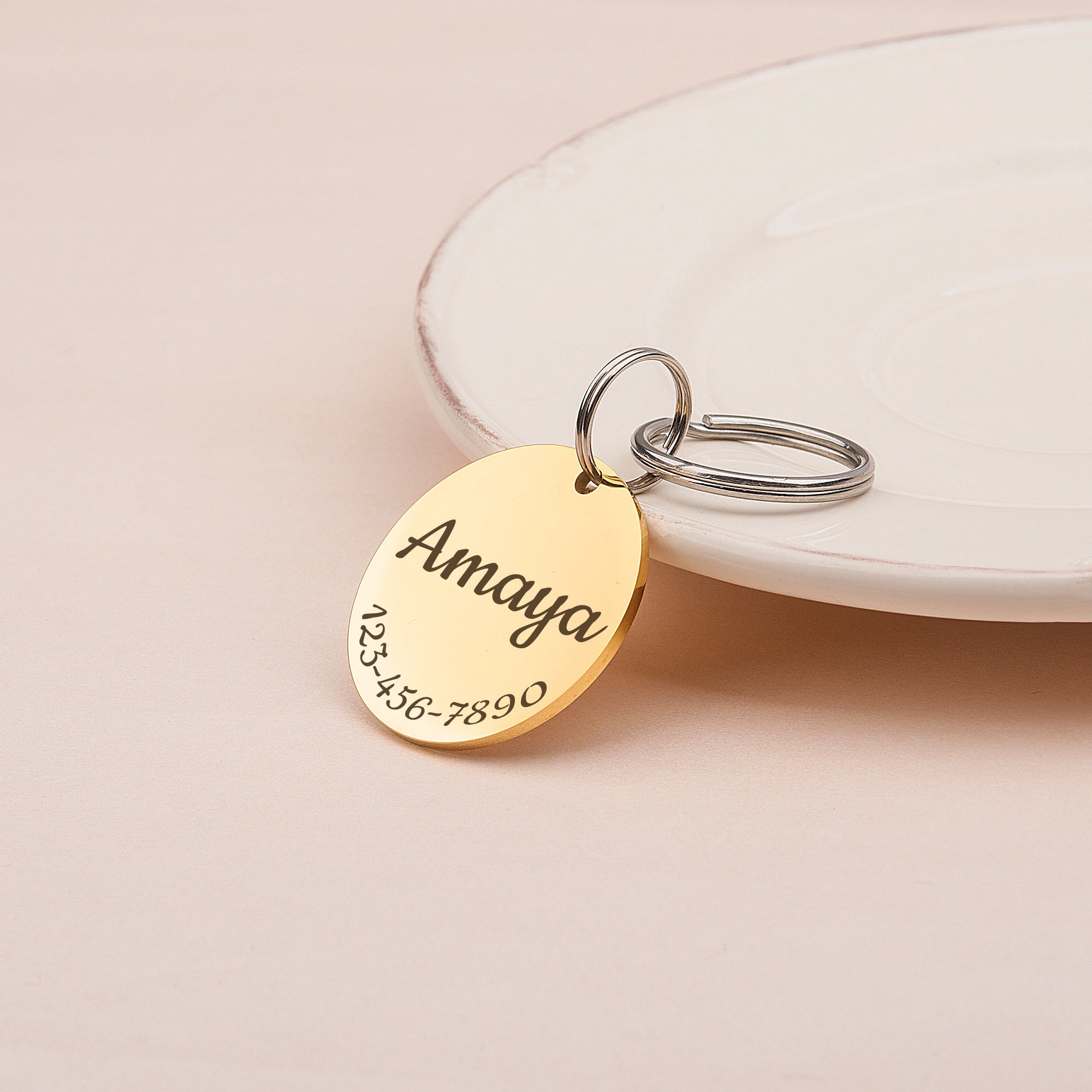 Anavia Stainless Steel Metal Round Name - Phone Number Birthday Holiday Christmas Engraved Dog Cat ID Tag, Gold
