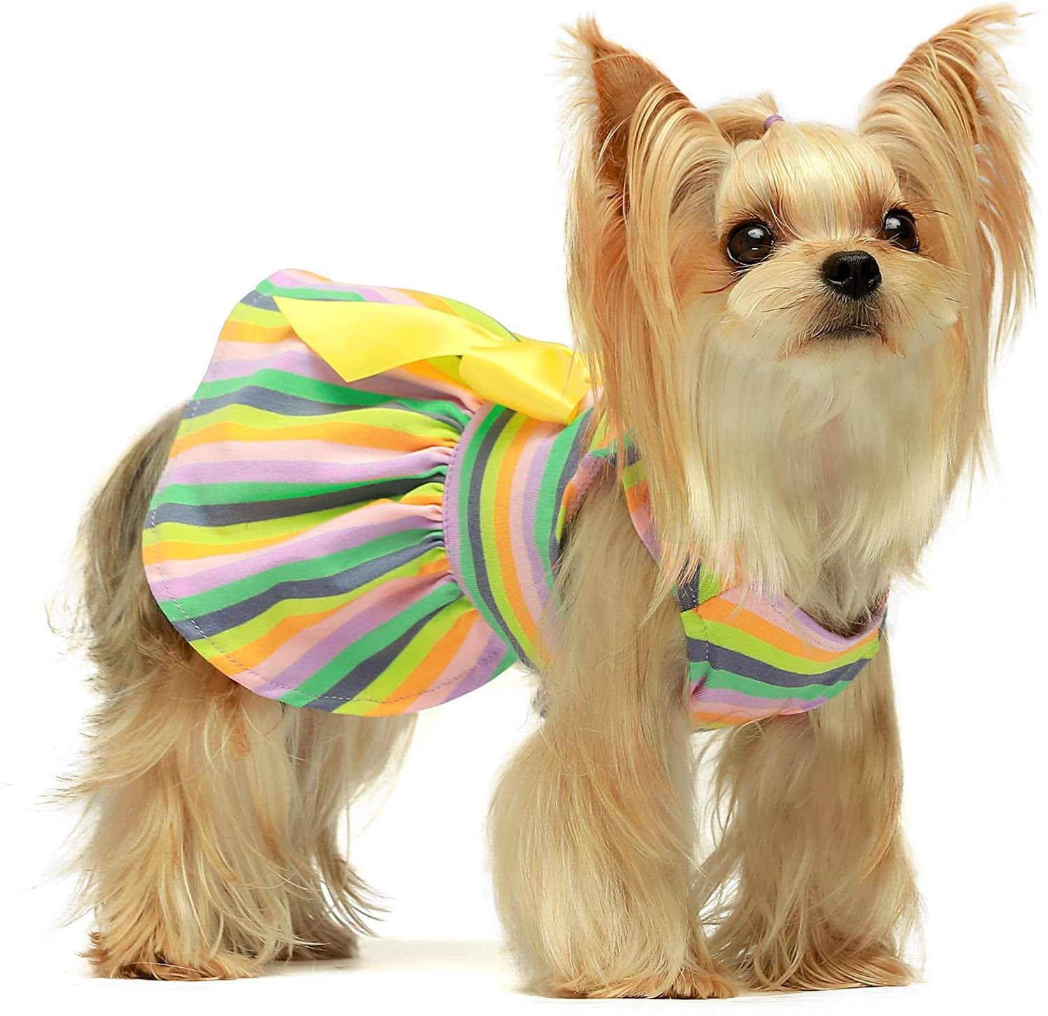 Fitwarm Rainbow Pet Clothes Dog Dresses Vest Shirts Sundress