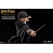 Harry Potter and the Sorcerers Stone Harry Potter 1/6 Scale Action Figure