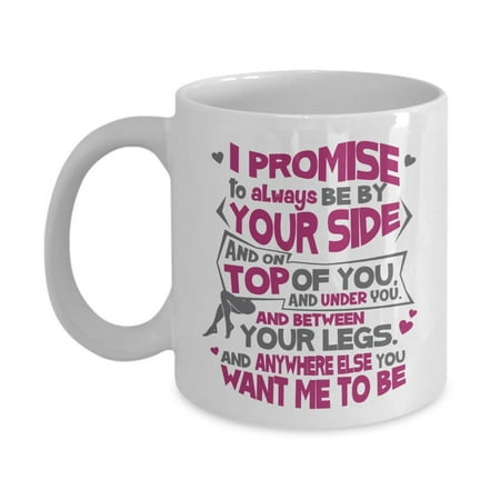 I Promise To Always Be By Your Side Funny Sexy Valentines Day Coffee & Tea Gift Mug, Cup Decor, Stuff, V-day Party Decorations & Best Birthday Or Anniversary Gifts For A Wife To Be Girlfriend Fiancee