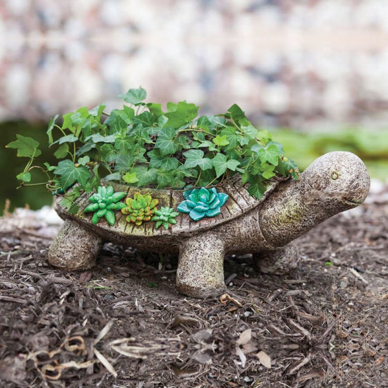 Succulent Garden, Turtle Planter