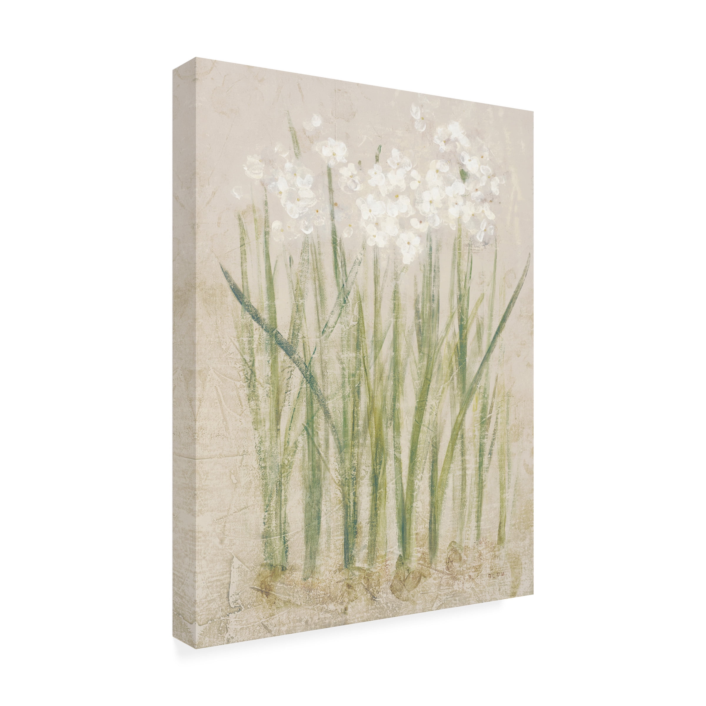 Cheri Blum 'Narcissus Light' Canvas Art