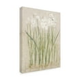 thumbnail image 2 of Cheri Blum 'Narcissus Light' Canvas Art, 2 of 4