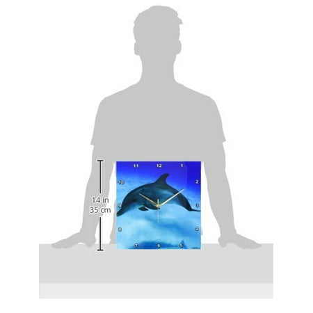 Spotted Dolphin - 3dRose A young Atlantic spotted dolphin. The Bahamas, Wall Clock, 13 by 13-inch
