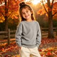thumbnail image 5 of Tiijoy Sweatshirt for Boys Casual Solid Knit Long Sleeve Pullover Sweatshirts, Grey, Sizes 4-14, 5 of 5