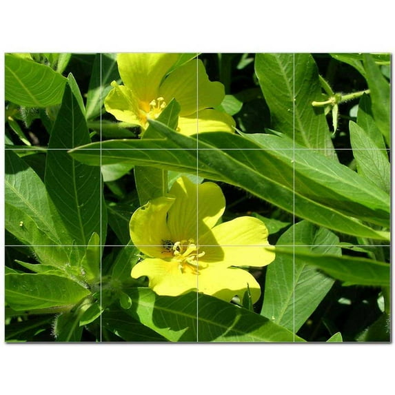 Flowers Usda Ceramic Tile Mural Kitchen Backsplash Bathroom Shower 405075-S43