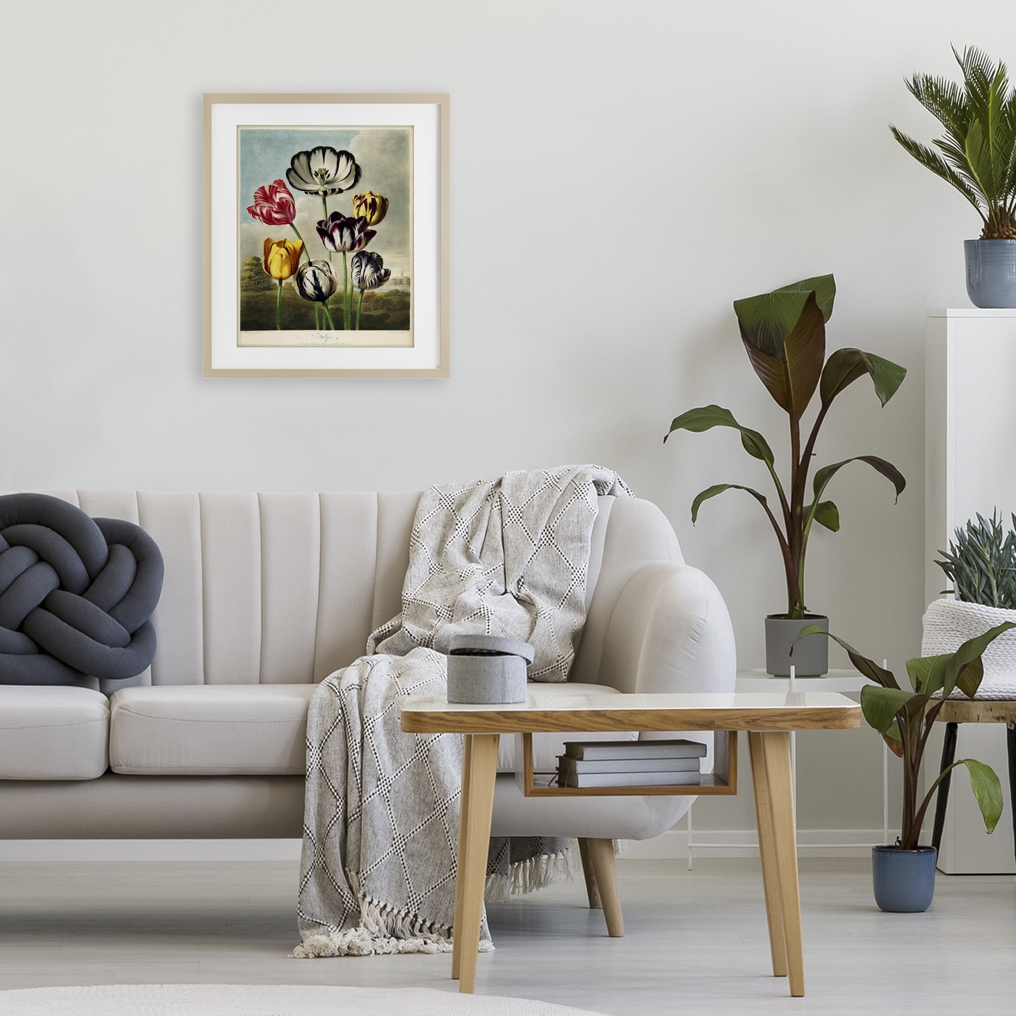 Stupell Industries Tulips From The Temple Birch Framed Print Under Glass, design by Print Collection