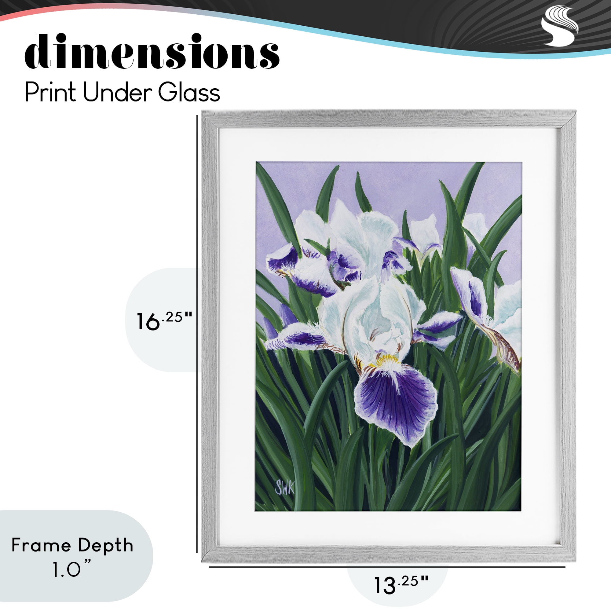 Stupell Industries Purple & White Irises Gray Framed Print Under Glass, design by Sarah Waldron Kimball