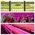 thumbnail image 4 of Tiras de luz LED para cultivo Inteprter 30CM IP20 ABS Phytolamp 5 modos de iluminación, 4 of 6