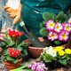 thumbnail image 3 of Herramientas y mejoras para el hogar Pala de goma verde para horticultura, para plantar flores y verduras, herramientas domésticas para exteriores, azada para arar, pala para flores suculentas, azada, 3 of 3