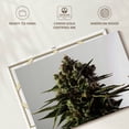 thumbnail image 6 of Elephant Stock Blossoming Cannabis Plant Wall Art - Horizontal Canvas Wall Art - Living Room Wall Decor - Floral And Botanical Canvas - Gray And Green Decor - 12" x 8", 6 of 8