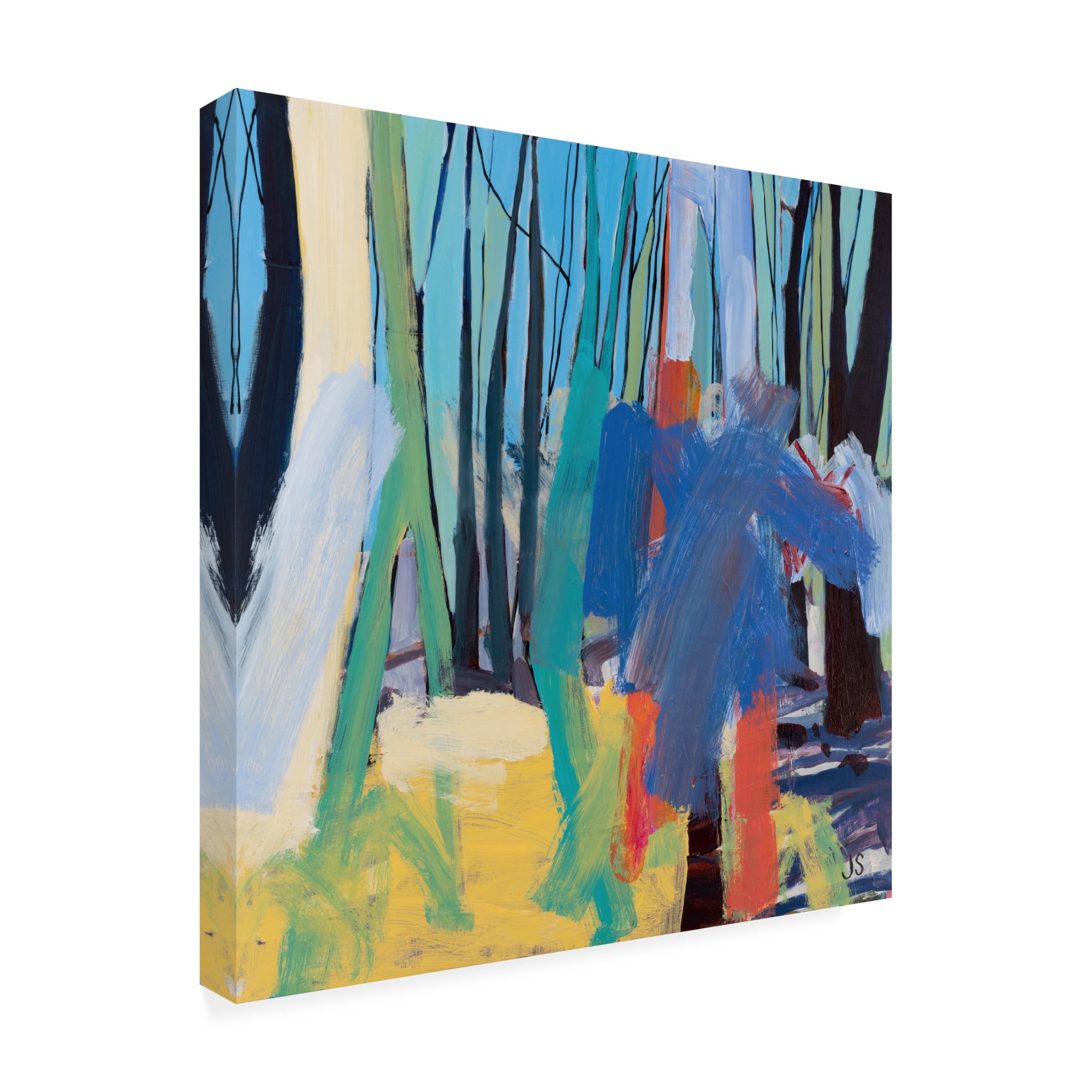 Canvas Wall Art - Jessica Singerman 'Pilot Mountain 7' Wall Art for Living Room, Bedroom, or Office Décor by Trademark Fine Art - 35 x 35 Inches