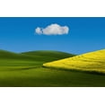 thumbnail image 2 of Xu, Tony 24x17 Black Ornate Wood Framed with Double Matting Museum Art Print Titled - Field Tone, 2 of 4