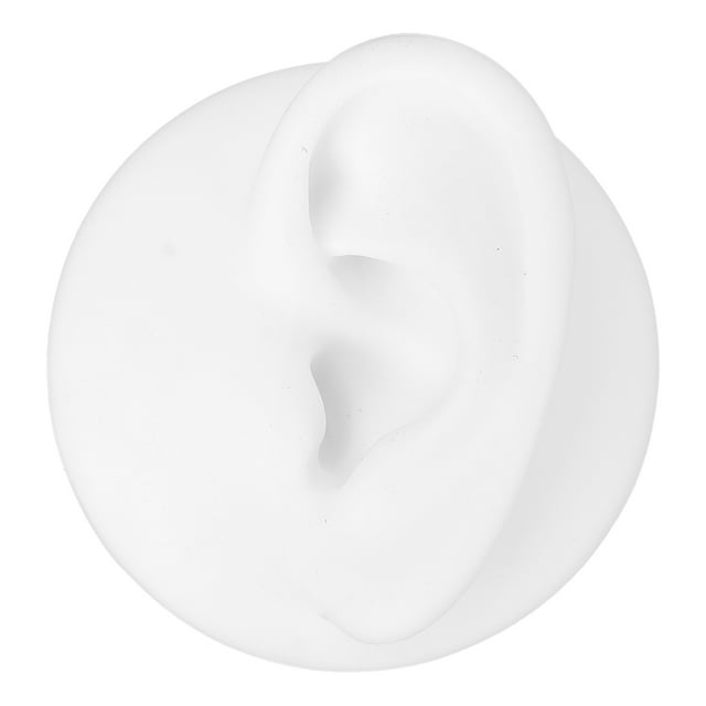 Simulation Modèle d'Oreille Humaine, Silicone Modèle d'Oreille Professionnel pour Usine pour École pour Hôpital pour Laboratoire Gauche