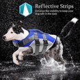 thumbnail image 4 of Chaleco salvavidas reflectante de alta flotabilidad para perros y mascotas, bonito chaleco salvavidas para nadar, navegar en canoa, para perros pequeños y medianos, 4 of 4