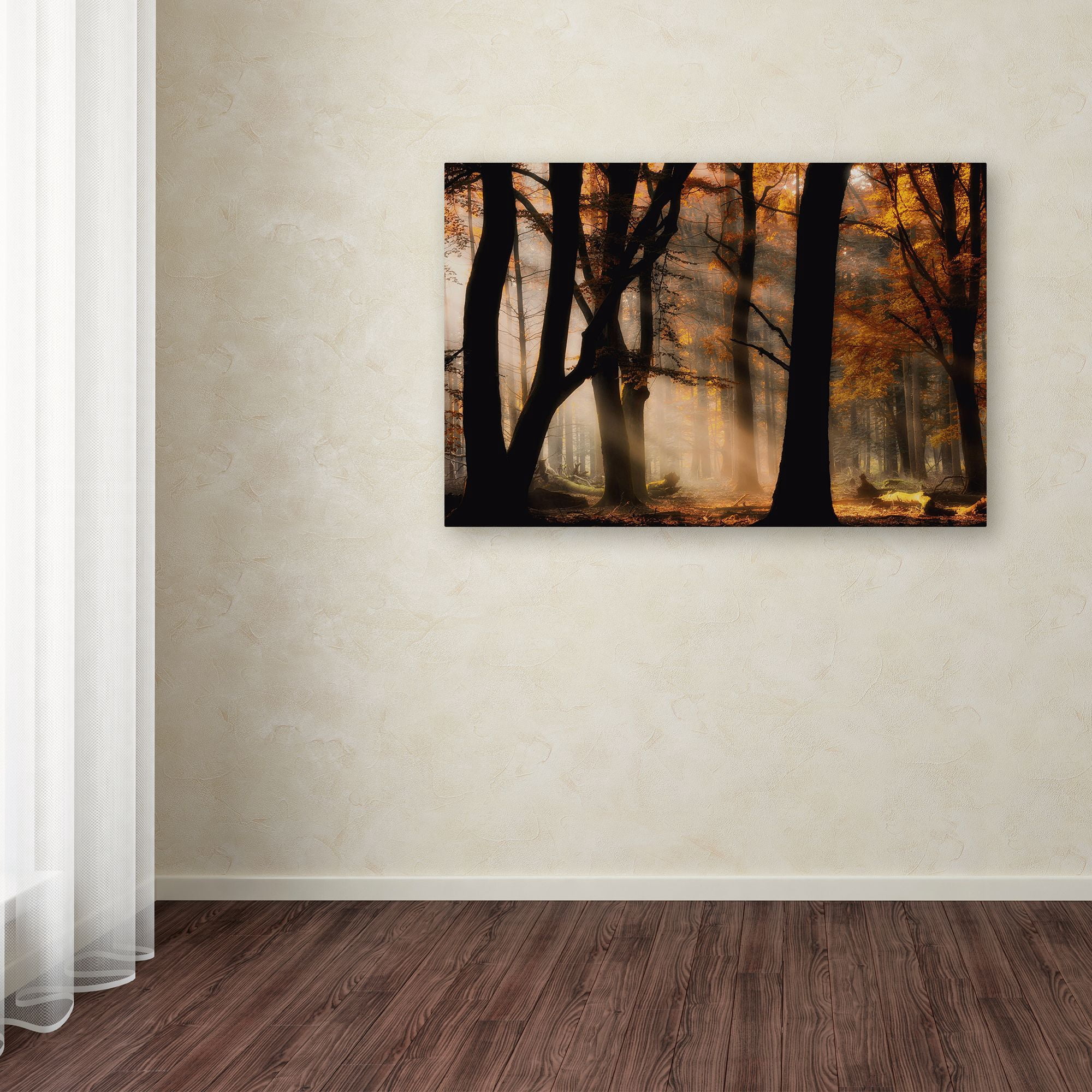 Trademark Fine Art 'Autumn Light' Canvas Art by Jan Paul Kraaij