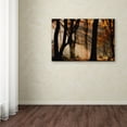 thumbnail image 3 of Trademark Fine Art 'Autumn Light' Canvas Art by Jan Paul Kraaij, 3 of 3