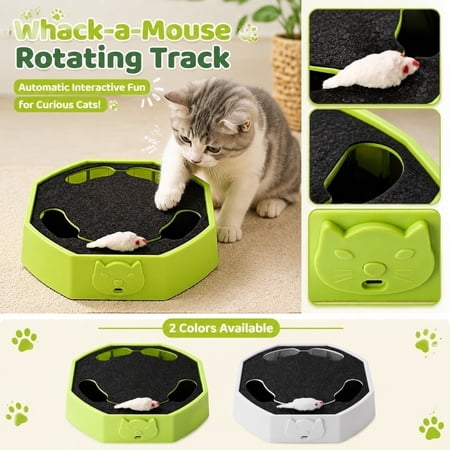 Interactive Cat Toys Automatic Rotating Track Game for Indoor Cats Enrichment Electric Cat Toys with Plush Mouse 10 X 10 X 2.5 Inch Green Pet Entertainment Toys