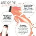 thumbnail image 4 of Lash Juice By Amber Lash -Eyelash Coating Sealant-DOUBLE TAKE, 4 of 7