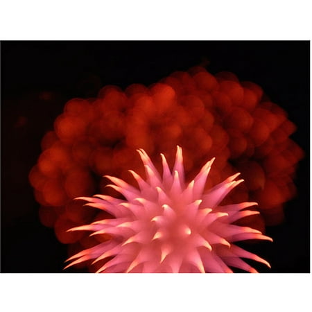 Trademark Art  Abstract Fireworks VII  Canvas Art by Kurt Shaffer Trademark Art  Abstract Fireworks VII  Canvas Art by Kurt Shaffer: Artist: Kurt Shaffer Subject: Landscape Style: Contemporary Product Type: Gallery-Wrapped Canvas Art