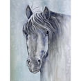 thumbnail image 2 of Great Art Now Gentle Stallion 1 by Doris Charest, Framed Wall Art, 18W x 22H, 2 of 2