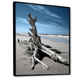 thumbnail image 2 of Designart "Driftwood on the Beach II" Nautical & Beach Floater Framed Canvas Art Print, 2 of 7