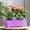 Purple, variant on 16.3 Inch Rectangular Window Flower Box Planter with Tray for Balcony, Windowsill, Garden(Blue)