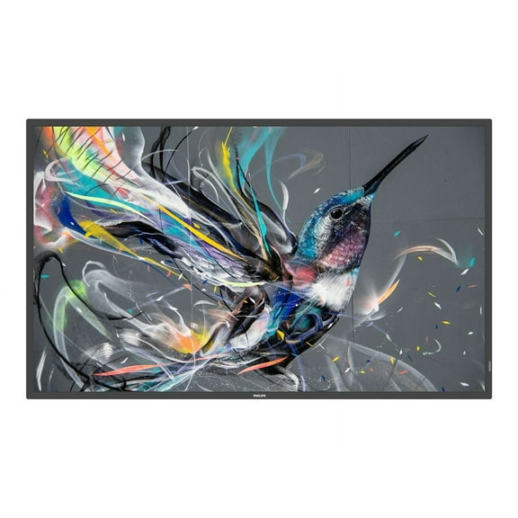 50" Q Line Prosumer Droid OS