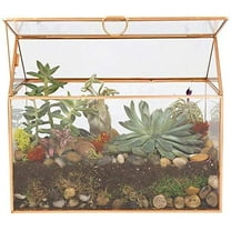 D'Eco Glass House Plant Terrarium (10"x6"x8") - Indoor Tabletop Gold Geometric Planter Terrarium for Succulents, Air Plants, Moss - Home, Wedding & Office Decor - Gift Idea for Plant Lovers