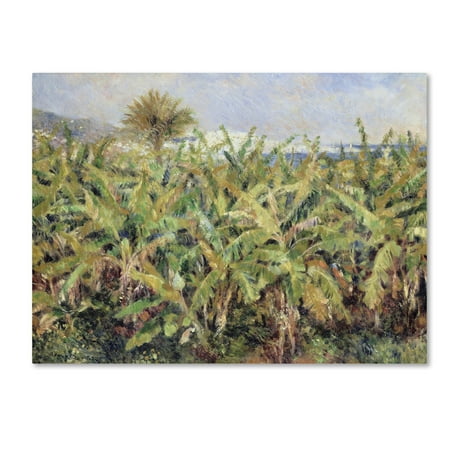 Trademark Fine Art 'Field Of Banana Trees' Canvas Art by Renoir