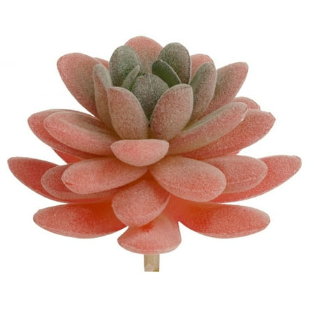 - Artificial Mini Succulent Fake Flower Container Garden Plastic Foliage