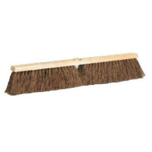 Pushbroom Palmyra 24 in. Head Only