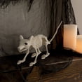 thumbnail image 2 of Faux Skeleton Rat Decoration, 7", Halloween by Way To Celebrate, 2 of 6