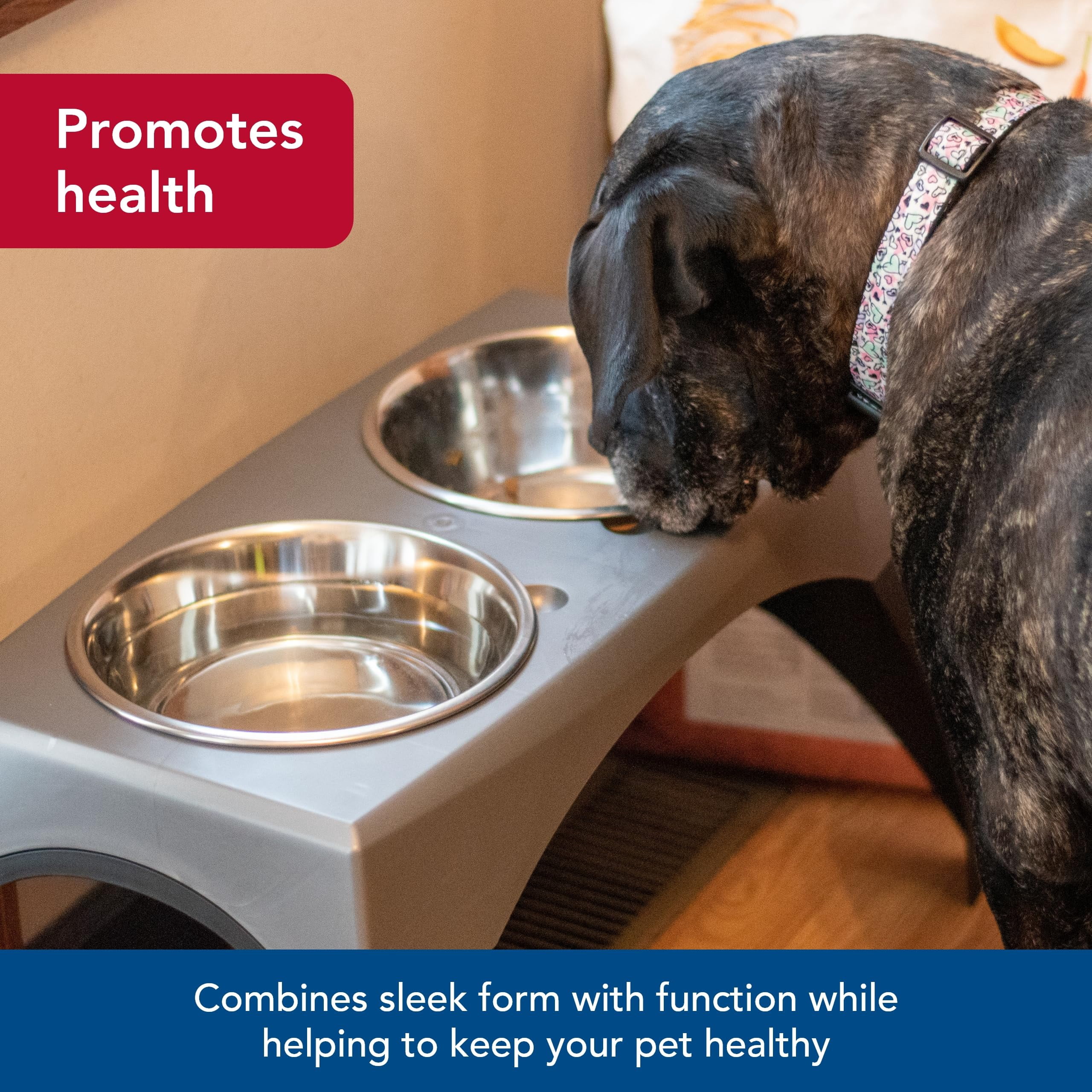 Coastal Pet Maslow Elevated Feeder - Raised Dog, Cat and Pet Food Bowls - Removable Stainless Steel Bowls - Grey/Black - X-Large (Single Pack)
