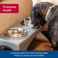 thumbnail image 3 of Coastal Pet Maslow Elevated Feeder - Raised Dog, Cat and Pet Food Bowls - Removable Stainless Steel Bowls - Grey/Black - X-Large (Single Pack), 3 of 8