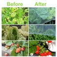 thumbnail image 5 of Plant Covers Anti-UV Insect Bugs Protection Garden Netting Summer Plant Netting Prevent Bird Plants Mesh;Plant Covers Anti-UV Insect Protection Garden Plant Prevent Bird Mesh, 5 of 8