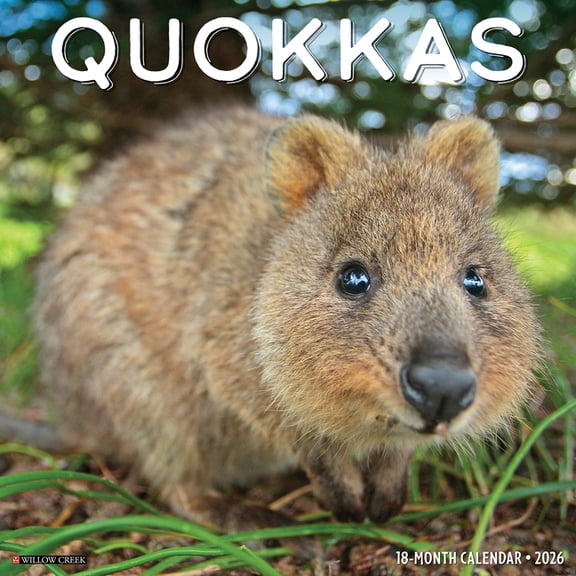 Quokkas 2026 Wall Calendar, (Paperback)